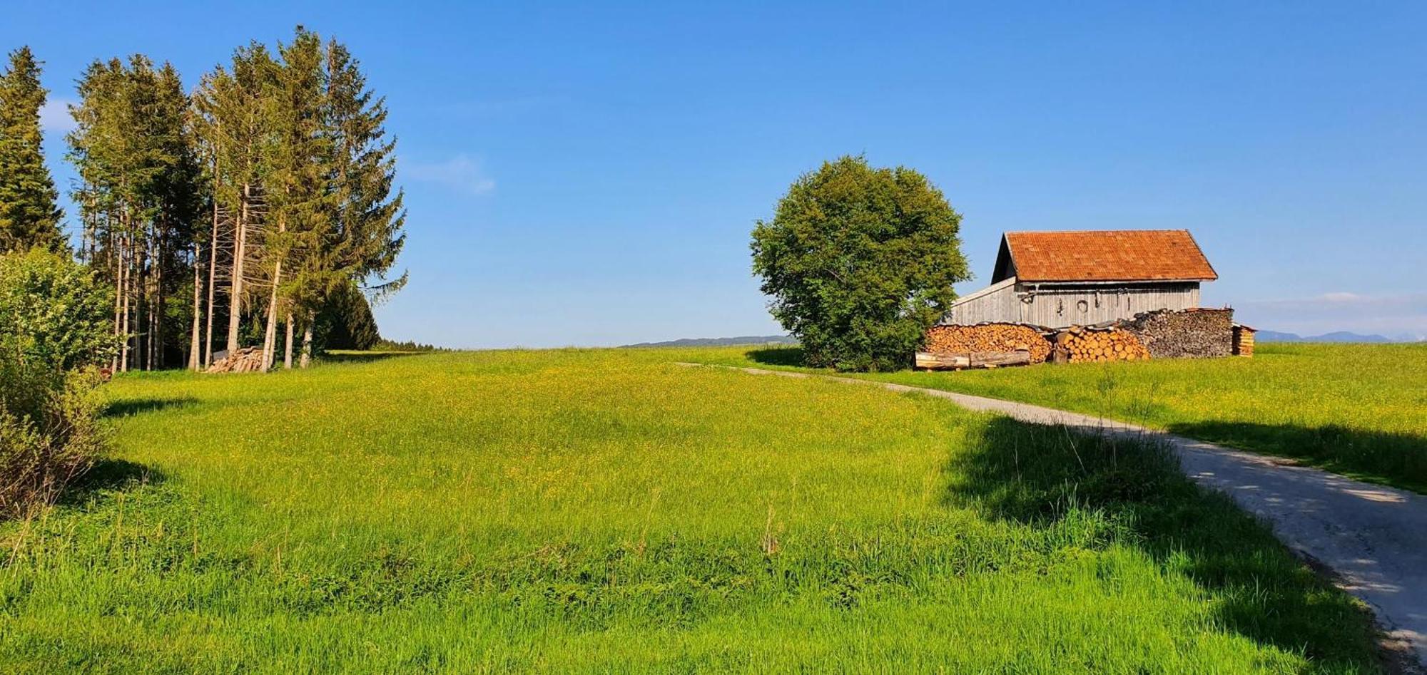 Lechbruck Am See Feriendorf Hochbergle Haus 140 Eksteriør billede
