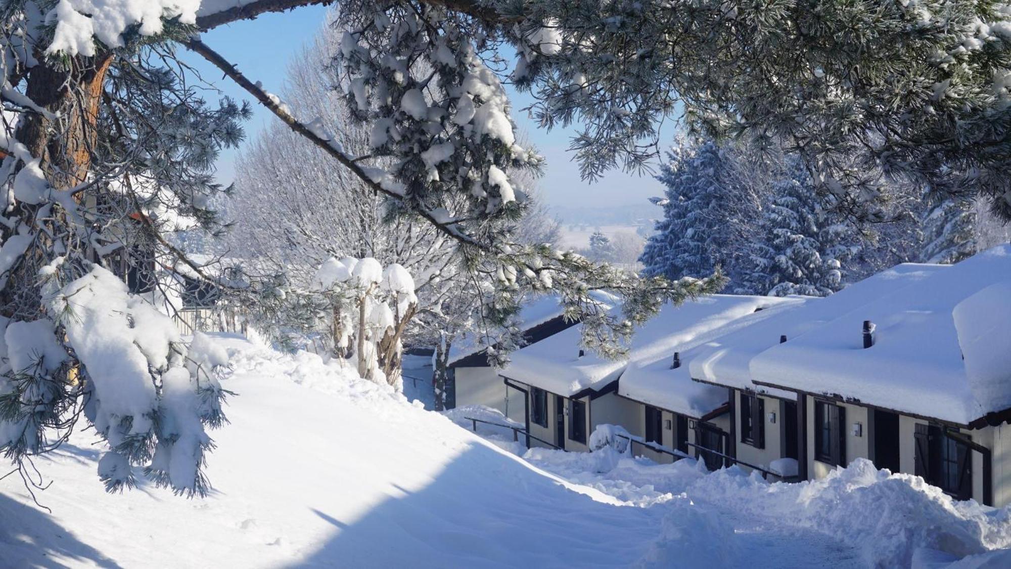Lechbruck Am See Feriendorf Hochbergle Haus 140 Eksteriør billede